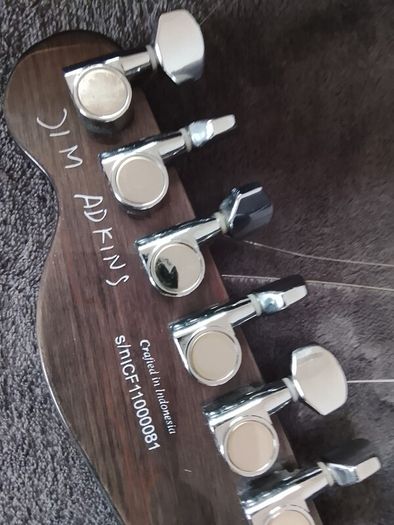 Fender Jim Adkins telecaster