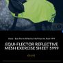 Horse reflector exercise sheet Image 2