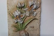 3D Iris Wall Plaque
