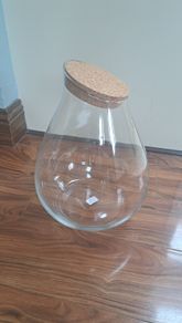 Terrarium kit
