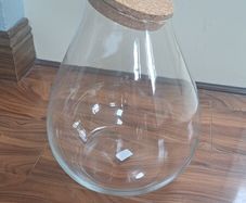 Plant Terrarium kit
