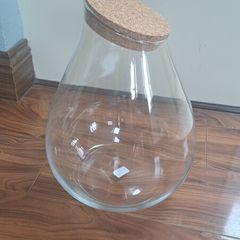 Terrarium kit