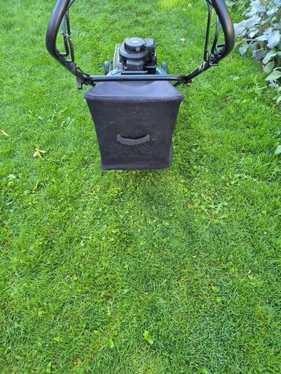 Pro Lawn Self Drive lawnmower