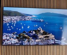 75" Samsung TV ,read add