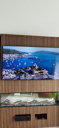 75" Samsung TV ,read add