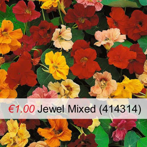 Variety of Nasturtium seeds from 1euro