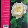 Roses Image 4
