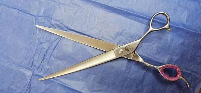 dog grooming scissors