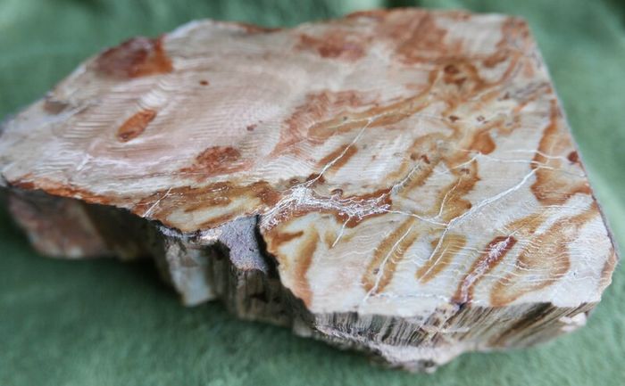 Dolomite Slab Rolling Hills Dolomite