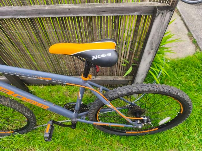 Boss bike
