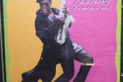 Clarence Clemons - A Night With Mr C. CD
