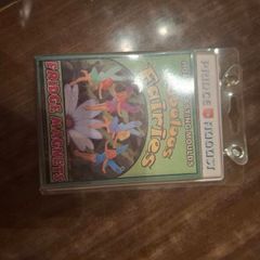 Fabulous Fairies fridge magnet casting kit.