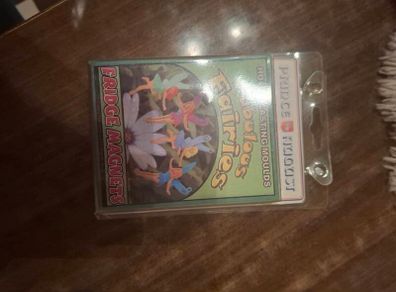 Fabulous Fairies fridge magnet casting kit.