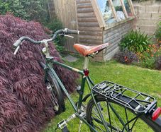 Pashley Speed 5