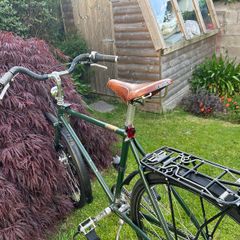 Pashley Speed 5