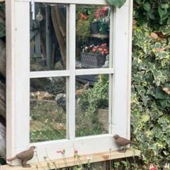 Garden reflection window