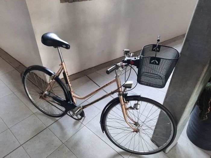 retro ladies bike