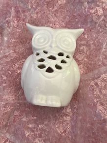 Owl wax burner and Yankee candle wax melt