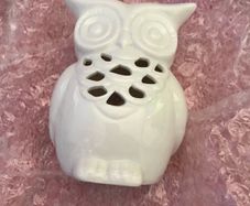 Owl wax burner and Yankee candle wax melt