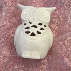 Owl wax burner and Yankee candle wax melt