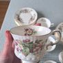 Elizabethan Bone China Tea Set Image 5