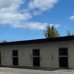 6 stables  walker sand paddock half acre paddock