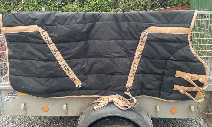 Trinity stable rug
