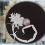 Deborah Harry [2007] Necessary Evil (CD Album) Image 3