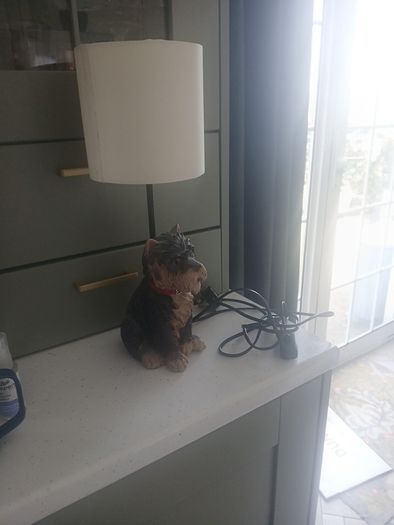 doggy lamp