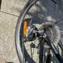 Frog Bike Image 7