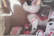 Zoey The Robo Dog