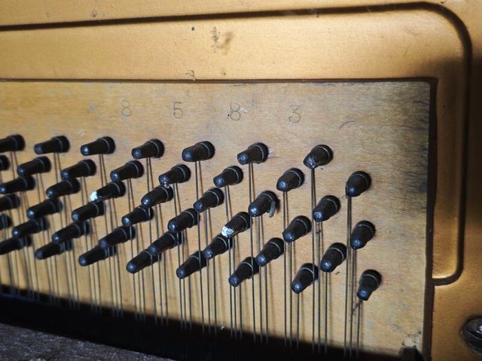 Rogers Eungblut Piano