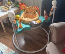 Fisher Price jungle jumperoo