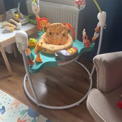 Fisher Price jungle jumperoo