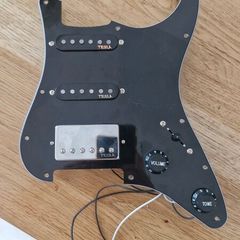 pre wired pickguard pickups