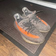 Beluga Yeezys size 8