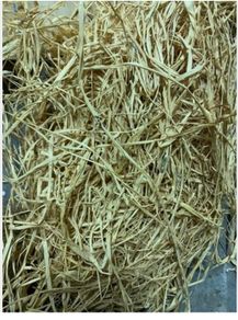 Bag Raffia Grass