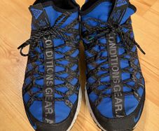 NIKE ACG React Terra Gobe Mens Trainers