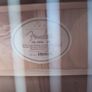 Fender DG-22 CE semi acoustic with free hard case Image 2