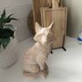 Fox Statue Image 3