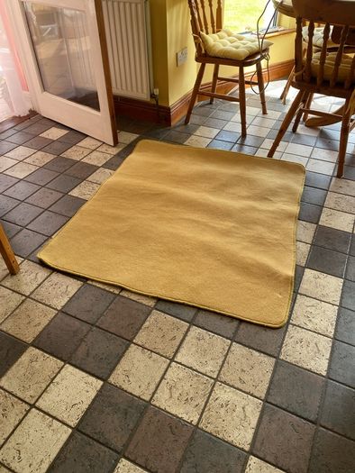 Rug