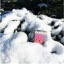 Brand New Needoh Snowball Crunch Image 4