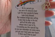 pet rainbow bridge card.