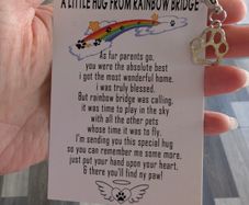 pet rainbow bridge card.