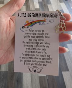 pet rainbow bridge card.