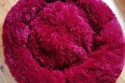 Plush Large Dog Bed