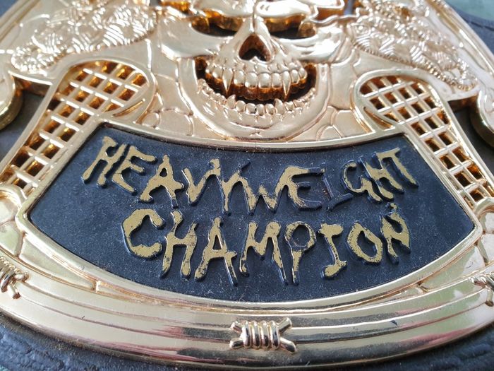 Stone Cold Steve Austin Smoking Skull Belt Title