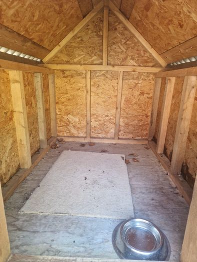 Dog Kennel