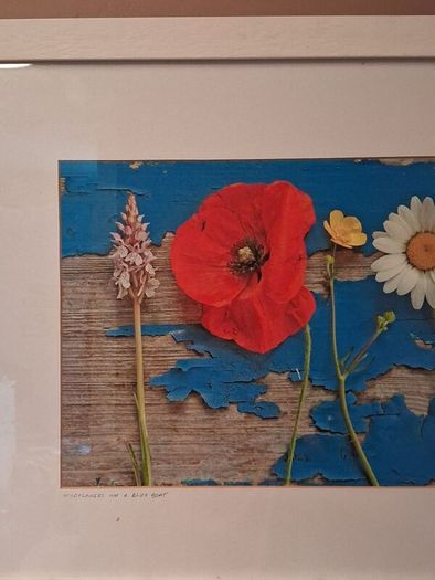 'Wild Flowers on a Blue Boat'