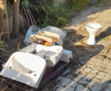 Toilet and sinks